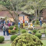 Festa nordestina da melhor idade no Clube Rincao